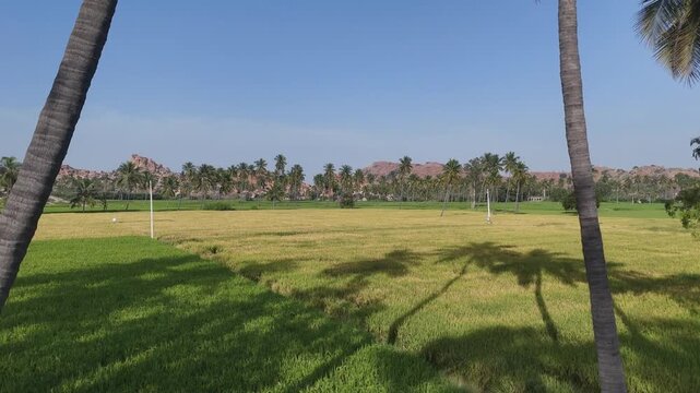 Aerial 4K drone footage of Hampi in Karnataka India. Cinematic bird's eye view ofrice fields and boulder-strewn landscape 