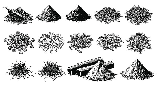Hand Drawn Spices Herbs and Culinary Seasoning Ingredients