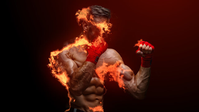 Photo Electric Animator 2 &ndash; Dynamic Lightning Photo Animation, Electric Energy Effects and Cinematic Motion for Creative Video and Social Media Presentation