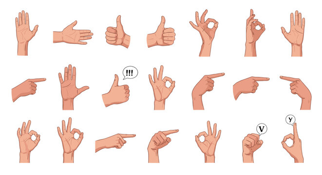 Comprehensive collection of human hand gestures showing various signs like ok, thumbs up, pointing, and counting.