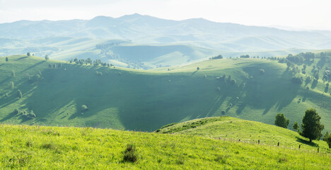 Obraz premium View of green hills and meadows, spring greenery