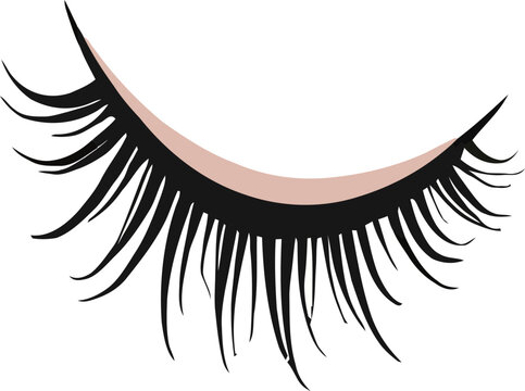 Beautiful closed eye with long thick eyelashes vector illustration