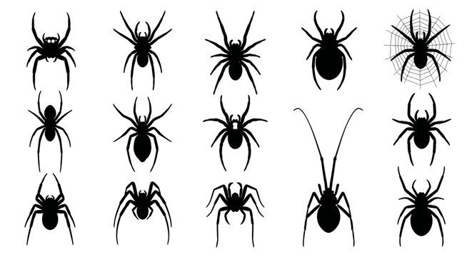 Collection of Black Spider Silhouettes on White Background
