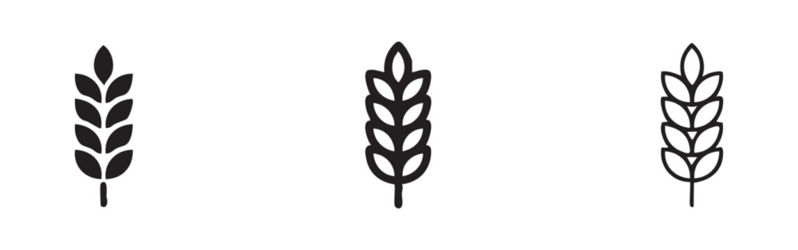 Wheat stalk icon in solid, doodle, and outline styles, symbolizing agriculture, harvest, and staple food.