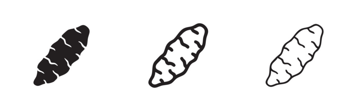 Jerusalem Artichoke Icon Set - Sunchoke Tuber Symbols in Solid, Outline, and Line Art Styles