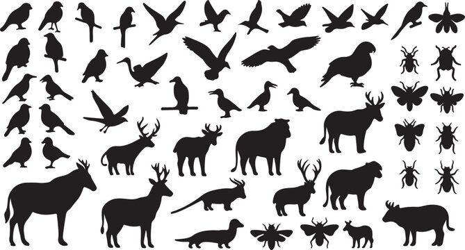 Black animal silhouettes collection, wild bird and mammal vector set, nature wildlife icons and insect shapes, 48 isolated graphic elements