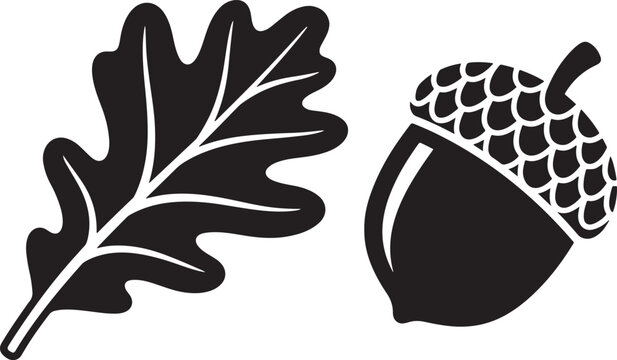 Oak leaf and acorn silhouette with black and white woodland illustration