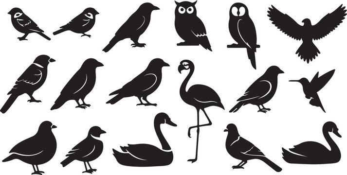 Black bird silhouette collection, 17 avian vector icons including owl and flamingo, wild bird species set for logo design and nature graphics