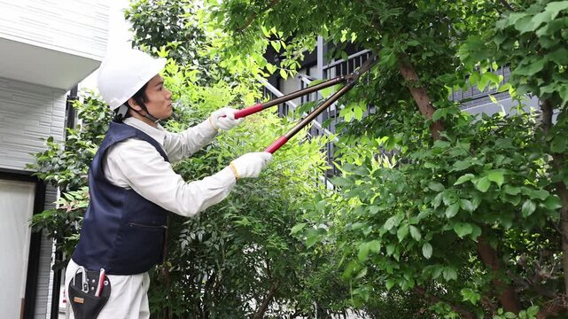 庭木を剪定する男性作業員