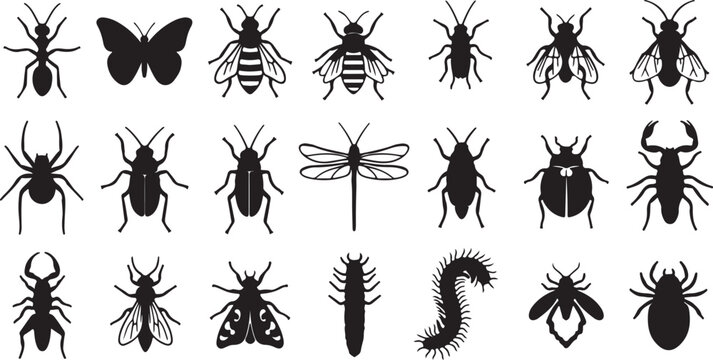 Black insect icons set, 21 bug silhouette vector elements, minimalist pest control and entomology symbols, flat nature wildlife graphics for education
