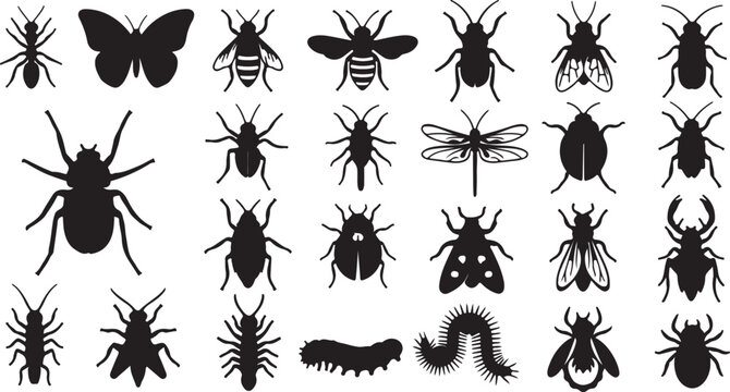 Black insect silhouettes set, 25 bug icons collection including butterfly and spider, minimalist nature vector elements for educational biology graphics