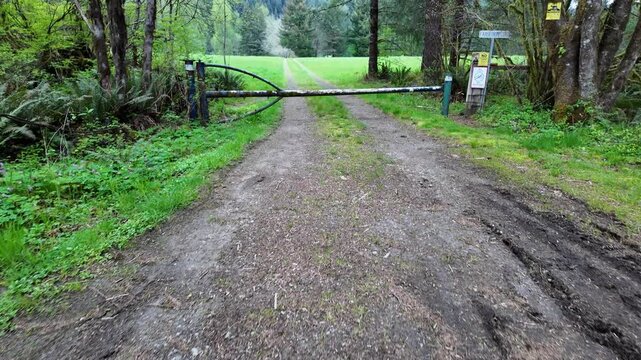 4K stabilized pocket action camera footage approaching a gated gravel road near Yale Lake in Washington, USA. Forest entrance leading toward a peaceful Pacific Northwest clearing