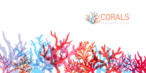 Reef with corals. Underwater or aquarium landscape scene. © KsanaGraphica