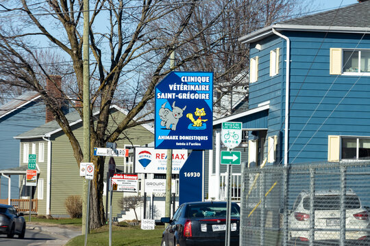 Quebec, Canada, 24 April 2026 : A blue sign for Saint-Gregoire Veterinary Clinic stands on a street with residential houses and other business signs.