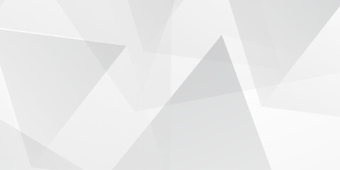 Obraz premium Abstract white and grey on light silver background modern design. White background with diagonal paper cuts. Abstract white and grey color. Stripe design background.
