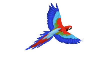 Macaw parrot glides through the air with its vibrant blue and red wings spread wide against a stark white background, showcasing its striking plumage in a dynamic flight pose that captures wild. © how