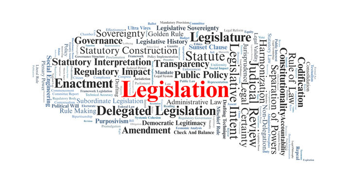 Legislation Word Cloud. A visual exploration of the legislative process, statutory interpretation, and the structural balance between legislative sovereignty and judicial review.