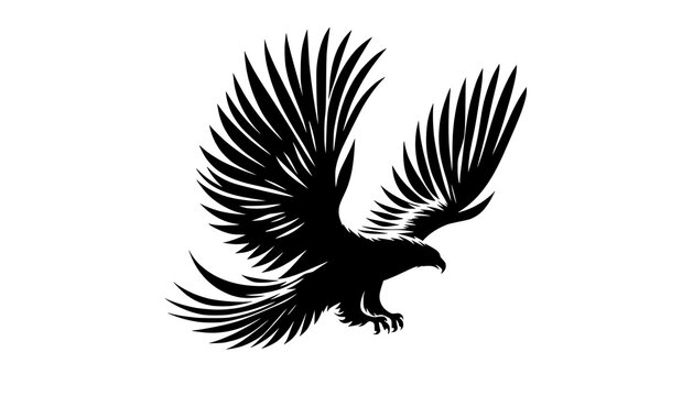 eagle vector illustration