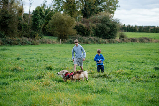Family walks in nature, Co. Kildare with horses and 7 children