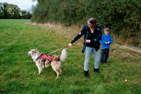 Family walks in nature, Co. Kildare with horses and 7 children