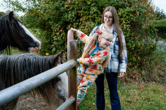 Family walks in nature, Co. Kildare with horses and 7 children