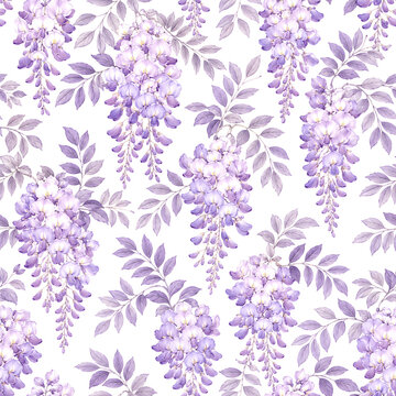 Japanese Wagara Wisteria Fuji Pattern, Soft Purple and Lavender, White Background