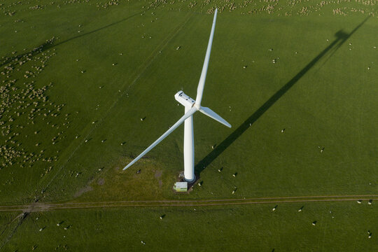 Aerial view of a large white wind turbine casting a long shadow over a green field with grazing sheep in Scotland, United Kingdom.