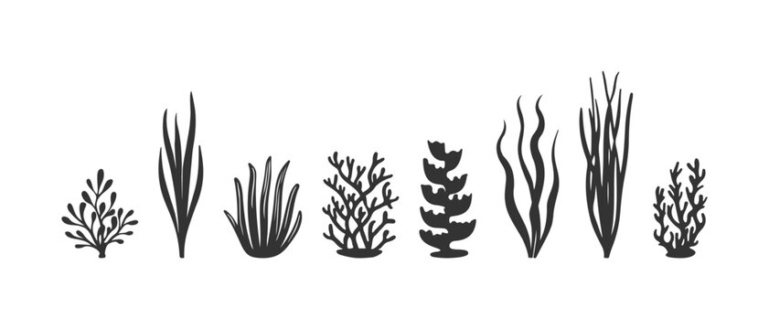 Diverse underwater flora collection with black silhouettes of kelp eelgrass and coral reef bushes on white background for marine branding bathroom tile and textile design.