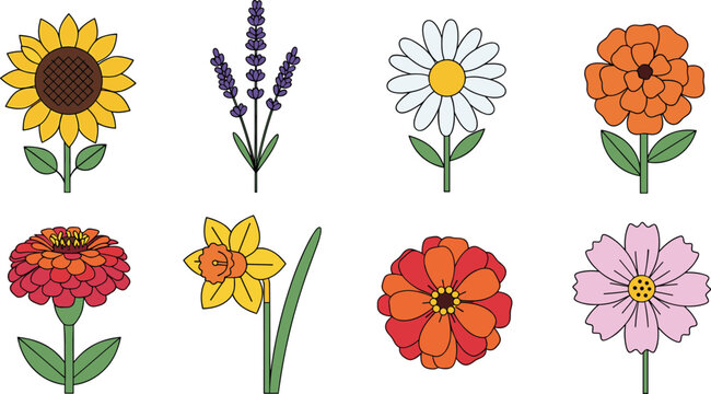 Colorful Flower Icon Set with Sunflower, Lavender, Daisy, Marigold, Zinnia, Daffodil, Cosmos, and Garden Flowers for Nature, Garden, and Digital Designs
