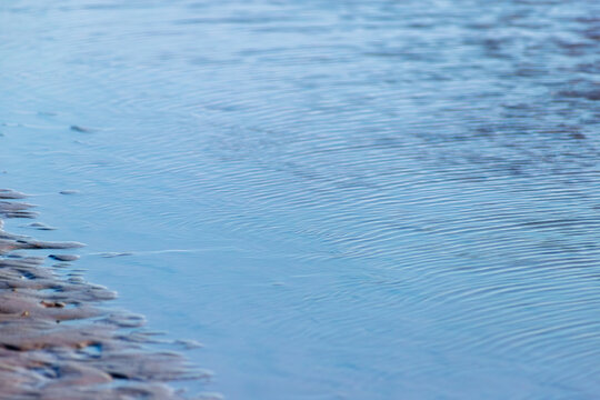 A horizontal close-up of blue water ripples on a shallow surface, likely a tidal pool or the edge of the sea. The rhythmic patterns of the waves are highlighted by the soft, natural light, creating a