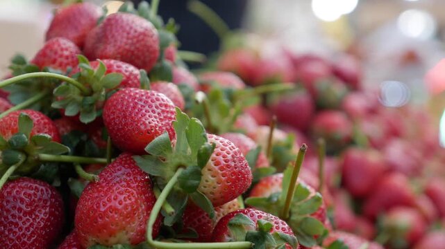 Strawberries arranged in dense rows across a selling surface at a neighborhood trading location forming a structured fruit presentation. Fresh ingredients.