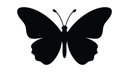 Butterfly silhouette on a white background © TanjilaAkter