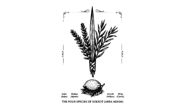 Vintage Botanical Four Species of Sukkot Vector Sketch with Etrog Palm Myrtle and Willow