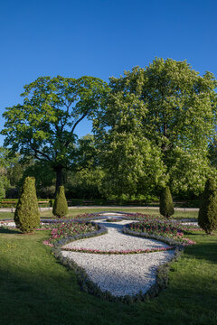 Ornate flowerbed with Aesculus hippocastanum and Taxus baccata in Krasinski Park, Warsaw. Spring landscape with blooming chestnut trees, decorative gravel paths and flower borders, vertical view.