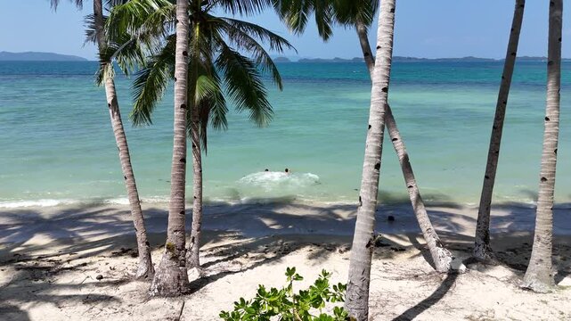 Aerial 4K drone footage of Port Barton in Palawan Philippines. Breathtaking bird's eye view of coconut trees islands and turquoise sea.
