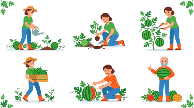 A collection of illustrations showing happy farmers planting and harvesting fresh organic watermelons in a productive sunny garden vegetable patch