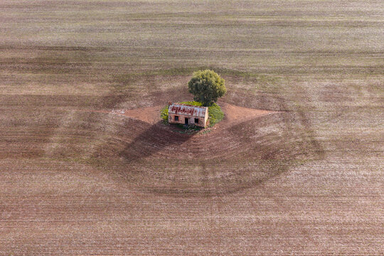 Aerial view of a small abandoned stone cottage and a single tree in the middle of a vast plowed field Flinders Ranges, South Australia, Australia.