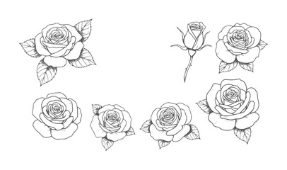 Collection of black and white line roses with leaves flower floral botanical © Mehedi