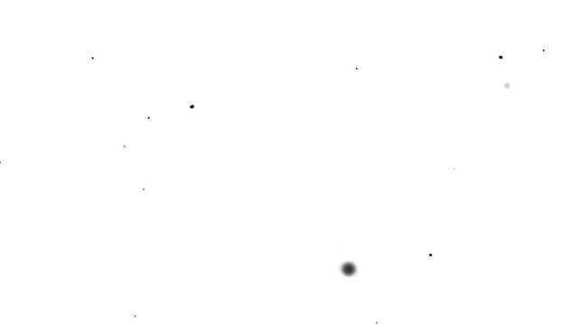 black small particles moving upwards in slow motion on white background 4k animation, particles overlay in alpha channel like water bubbles moving upwards animation effect for titles, logo animation