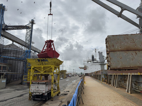 discharging of wheat from the bulk carrier ship by crane and grab to hopper and to the truck. berth of port grain terminal 