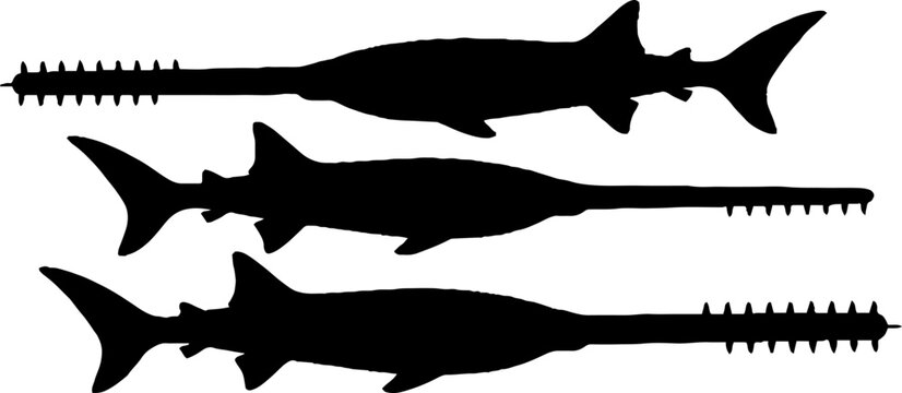 Aquatic Creature Silhouettes with Vertical Line Pattern