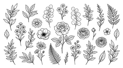 Collection of various hand-drawn botanical elements, set of leaves, flowers, and branches line art on an isolated white background. © Tafrichan