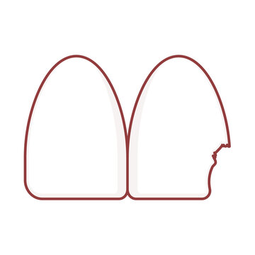 Two upper front teeth are chipped illustration cartoon cute
