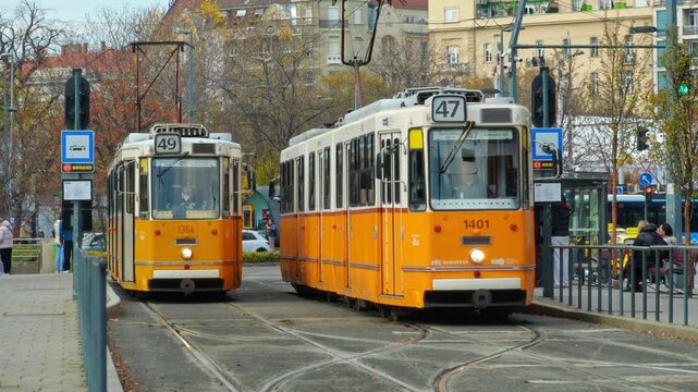 Two yellow trams stopped at a city tram station in Budapest, Hungary, with passengers waiting on the platform during a bright autumn day