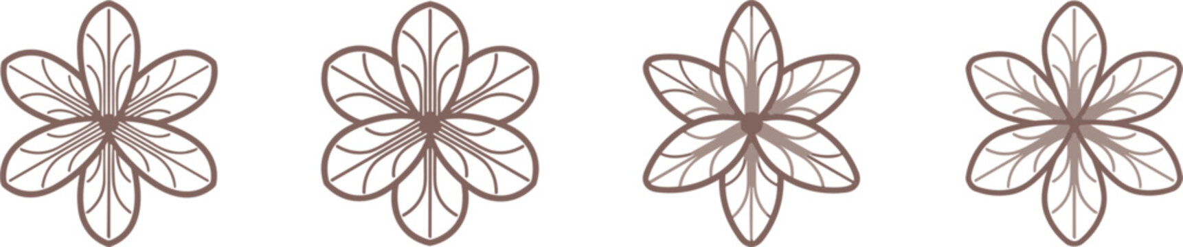 A vector set of four geometric saffron flower icons featuring symmetrical petal arrangements in a soft brown tone isolated on a grey background.