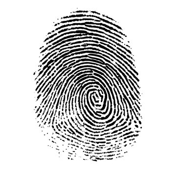 Fingerprint Icons PNG, Thumbprint Pattern Transparent Background