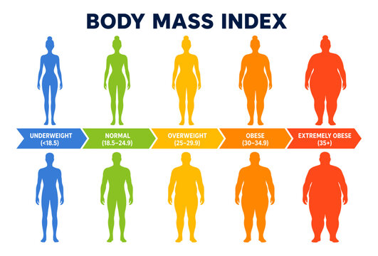 Body mass index BMI scale chart with man and woman silhouette