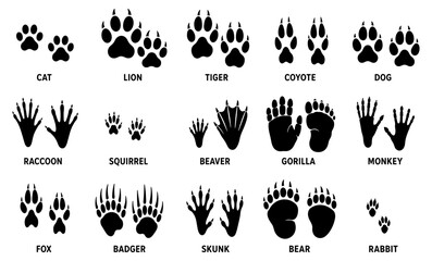 Obraz premium Wild animal tracks and paw print black silhouette collection
