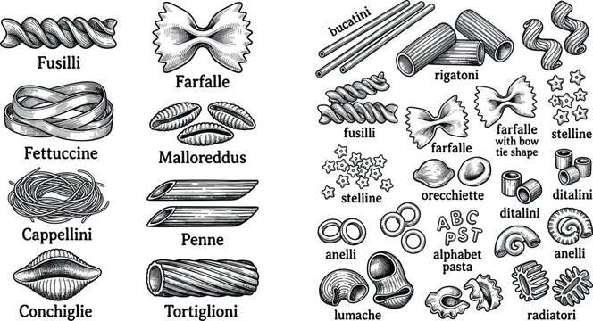 Hand-Drawn Pasta Vector Set Featuring Fusilli, Farfalle, Fettuccine, Penne, Conchiglie, Tortiglioni, and Various Pasta Shapes for Culinary and Food Designs