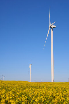 Wind turbines at sunset in green field &ndash; renewable energy, clean power, sustainable future.